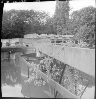 friche 2
