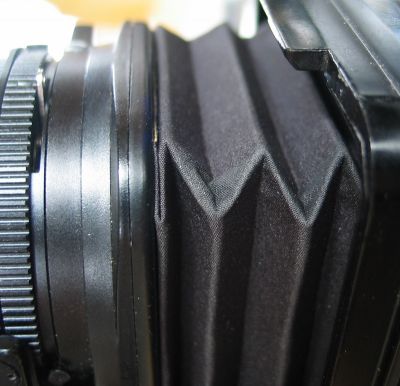 IMG_4737.JPG