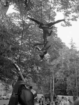 acrobates
