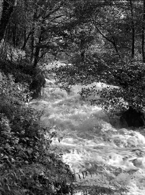 chute_eau_1_800.jpg