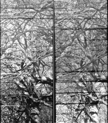 filtres multigrade
