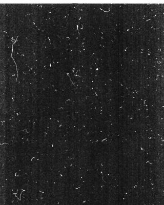 petouilles scanner
