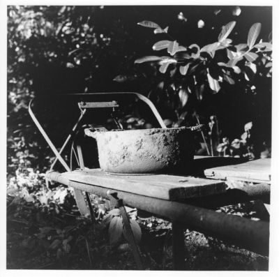 test Rolleiflex
