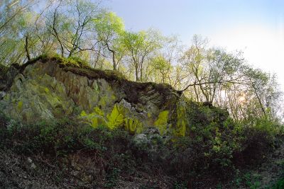 800Portra0024.jpg