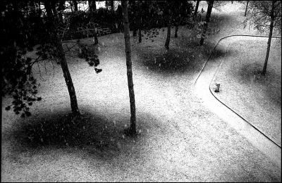Neige...
