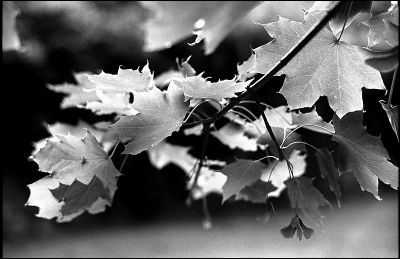 2010_8_22_3204_00002.jpg