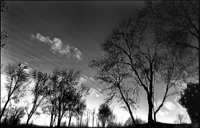 reflet...
