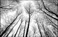 2011_12_25_3204_00002.jpg