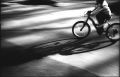 2011_2_6_3204_00002.jpg