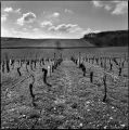 Nom du fichier=sancerre.jpg
Taille du fichier=495Ko
Dimensions : 798x800
Ajouté le : 06 Avril 2015 sancerre.jpg