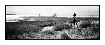 Hasselblad_Xpan2C_45mm2C_Ilford_FP4_Rodinal_12B25_005.jpg