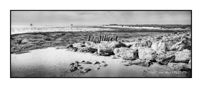 Hasselblad_Xpan2C_45mm2C_Ilford_FP4_Rodinal_12B25_008~0.jpg