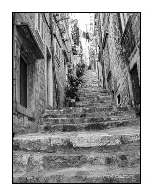 Minolta_9xi_24-105_Ilford_FP4_Rodinal_12B25_016.jpg