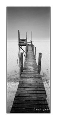 img_008~0.jpg