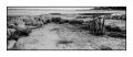 Hasselblad_Xpan2C_45mm2C_Ilford_FP4_Rodinal_12B25_017.jpg