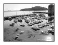 Minolta_9xi_24-105_Ilford_FP4_Rodinal_12B25_019.jpg
