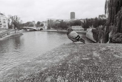 Alpa et 28mm
