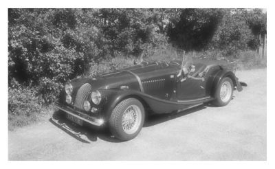 Morgan (1)
