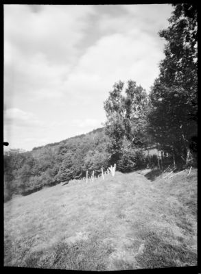 Foma100_stenope_02.jpg