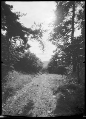Foma100_stenope_03.jpg