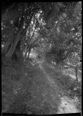Foma100_stenope_04.jpg