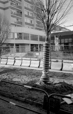 Arbre emballé
