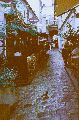 DSC_03_copie.gif