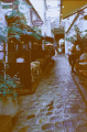 DSC_03_copie.png