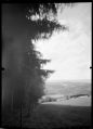 Foma100_stenope_01.jpg