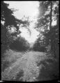 Foma100_stenope_03.jpg