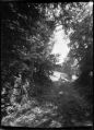 Foma100_stenope_05.jpg