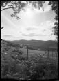 TMax_champin_28129.jpg
