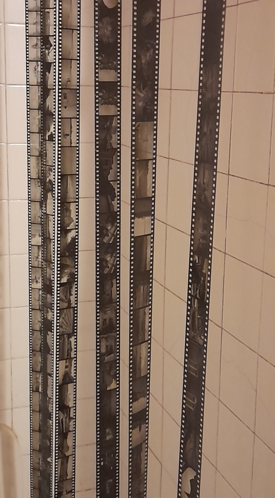 Foma_100R.jpg