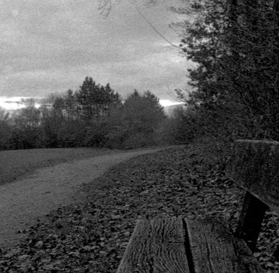 scan à 2400dpi
scan 1cm X 1cm à 2400 dpi  dans l'image 24X36cm - pellicule Rollei Retro 400asa
périmée depuis 12 ans 
