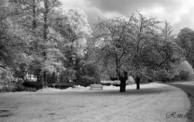 IR-2024-03-06007.JPG