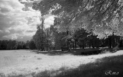 IR-2024-03-06019.JPG
