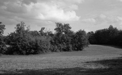NB-01-07-23-022.JPG