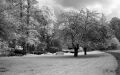 IR-2024-03-06007.JPG