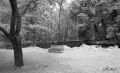 IR-2024-03-06011.JPG