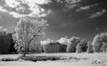IR-2024-03-06013.JPG