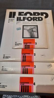 Ilford_3.jpg