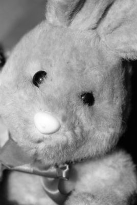 Abandonné
Portrait d'une peluche abandonnée.
Nikon F100, Rollei 80S
Mots-clés: rollei80S