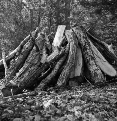 Tas de bois en forêt
Semflex Standard, Rollei Rétro 80S dans Rodinal 1.50
