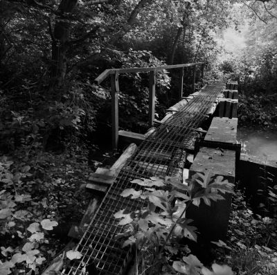 Une passerelle sur un bras de rivière
Pentacon Six, Flektogon 50mm, Delta 100.
