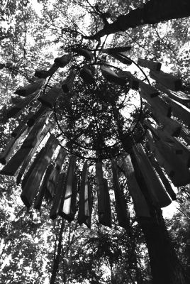 Musique et bois à l'Arboretum de Harcourt
Instrument de musique en bois.
