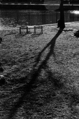 Contre-jour au Havre
Leica R7, Summicron 90mm.
