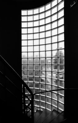 Escalier et verrière - en haut
Exakta Varex IIa, Flektogon 20mm, Rollei Retro 80S
