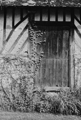 Berthouville
Zeiss-Ikon S310, Rollei Retro 80S
