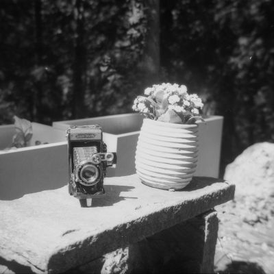 Zeiss ikon super ikonta by Zeiss ikon ikonta m
