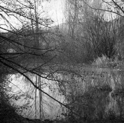 marais_02.jpg